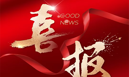 喜报丨星空官方网页版-星空online(中国)入选2024粤港澳大湾区企业创新力榜单
